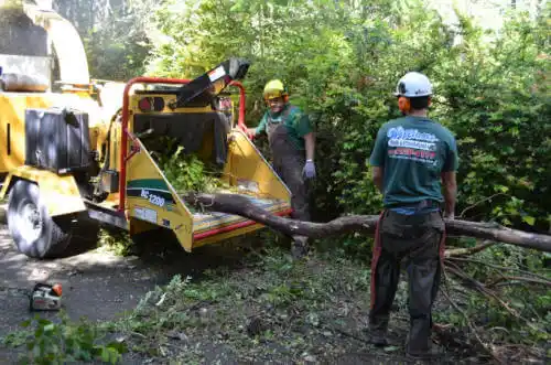 tree services Yakutat